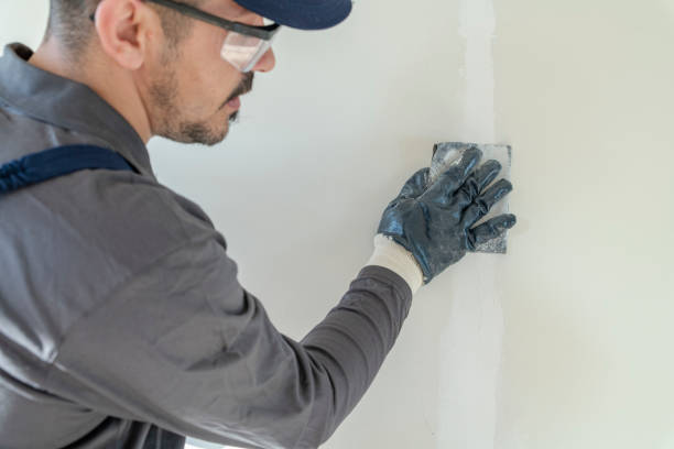 Best Drywall Sanding and Smoothing  in Moweaqua, IL